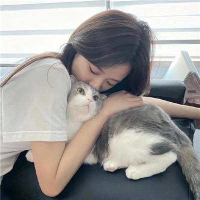 断线森林