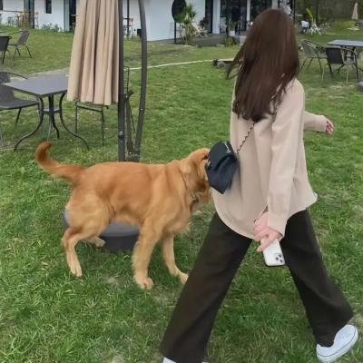 罗莎的自白